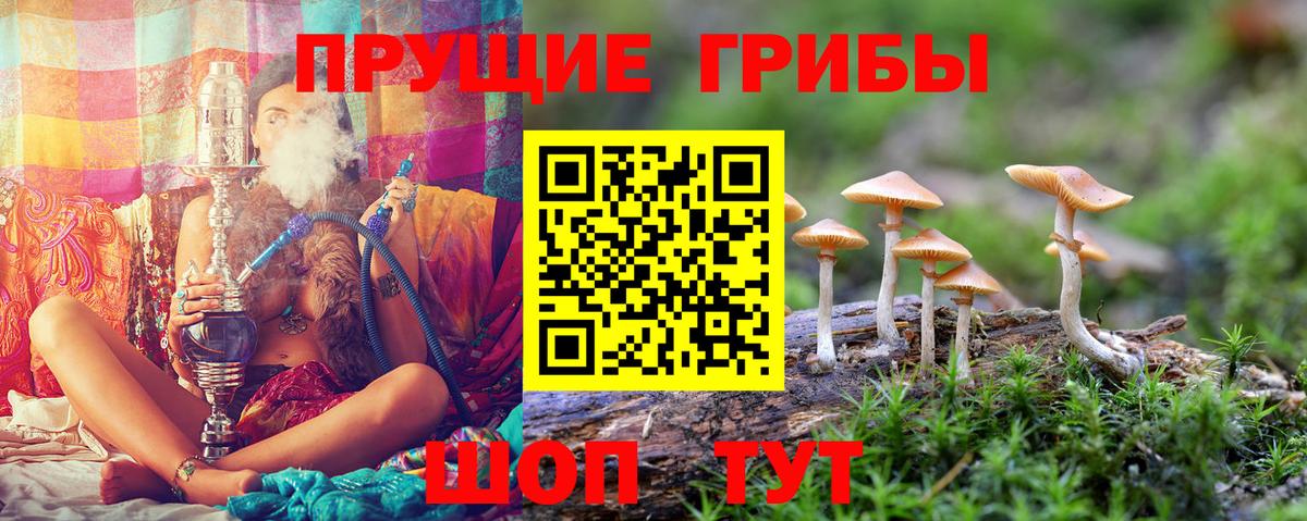Галлюциногенные грибы мицелий  где продают   Галлюциногенные грибы Cubensis  Новодвинск  Вход с VPN 