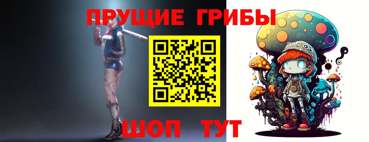 Псилоцибиновые грибы Psilocybine cubensis Новодвинск